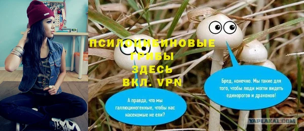 ПСИЛОЦИБИНОВЫЕ ГРИБЫ Аркадак